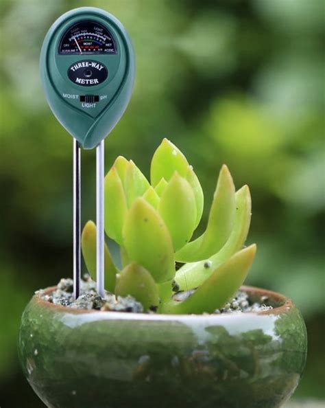 using a moisture meter for succulents|humidity meter for succulent plants.